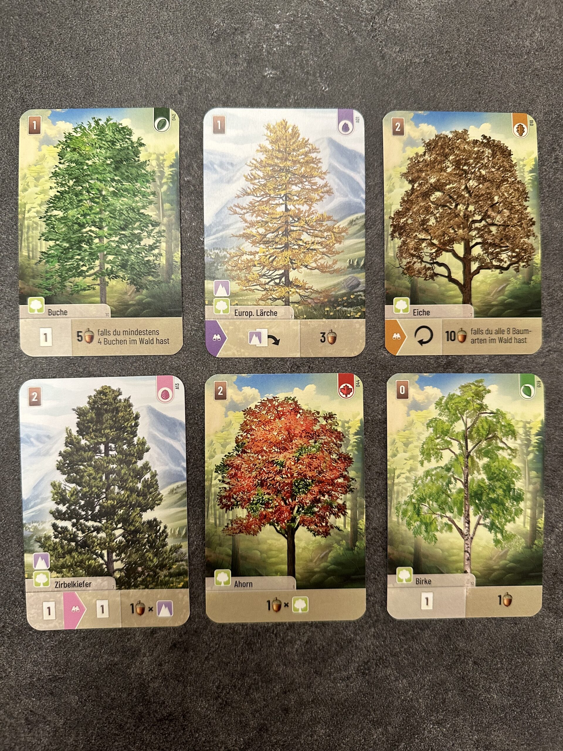 6 unterschiedliche Baumkarten aus dem Spiel Mischwald